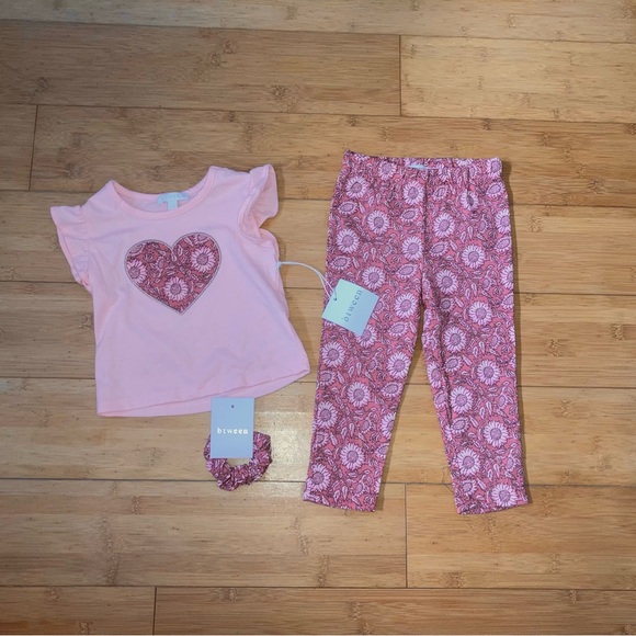 NWT Girls Size 2T Outfit - Heart Tee Top & Flower Leggings Pants - Picture 1 of 2